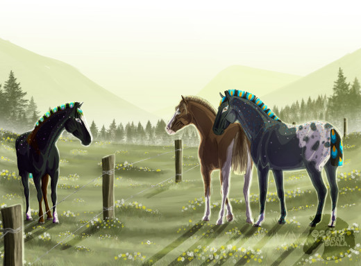 763689 (a): :6173x4541